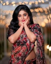 Sanam Shetty in a Colourful Saree Photos 01