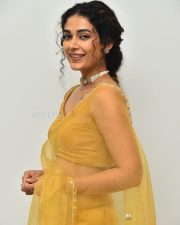 Actress Aakanksha Singh at Shashtipoorthi Movie Interview Pictures 03