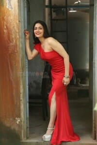 Actress Komal Sharma Red Dress Photoshoot Pictures 03