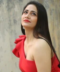 Actress Komal Sharma Red Dress Photoshoot Pictures 04