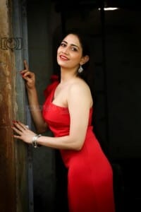 Actress Komal Sharma Red Dress Photoshoot Pictures 07