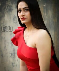 Actress Komal Sharma Red Dress Photoshoot Pictures 12