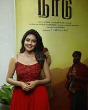 Actress Mahima Nambiar at Naadu Press Meet Stills 01