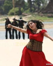 Actress Meera Jasmine003