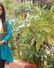 Actress Meera Jasmine016