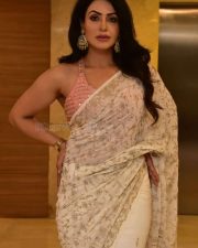 Actress Nandini Rai at Bhagsaale Movie Pre Release Event Pictures 16