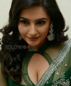 Actress Ragini Dwivedi Sexy Pictures 02