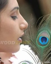 Actress Ragini Hot Pictures 02