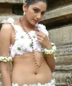 Actress Ragini Hot Pictures 03