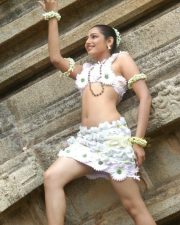 Actress Ragini Hot Pictures 04