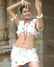 Actress Ragini Hot Pictures 05
