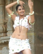 Actress Ragini Hot Pictures 05