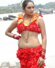 Actress Ragini Hot Pictures 06