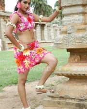 Actress Ragini Hot Pictures 08