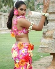 Actress Ragini Hot Pictures 10