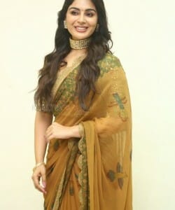Actress Samyuktha Menon at Bimbisara Movie Pre Release Event Photos 25