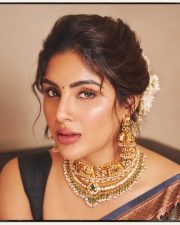 Actress Samyuktha Menon in a Dark Traditional Handloom Silk Saree with a Simple Sleeveless Black Blouse Pictures 08