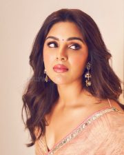 Actress Samyuktha Menon in a Nude Pink Tissue Saree with a Champagne Toned Blouse Photos 05