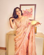 Actress Samyuktha Menon in a Nude Pink Tissue Saree with a Champagne Toned Blouse Photos 08