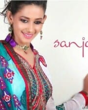 Actress Sanjana Singh Hot Photos 29