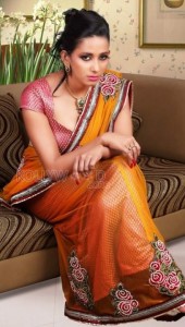 Actress Sanjana Singh Hot Pics 05