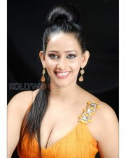 Actress Sanjana Singh Hot Pictures 13