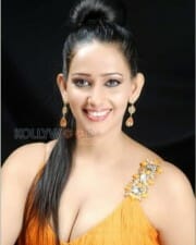 Actress Sanjana Singh Hot Stills 25
