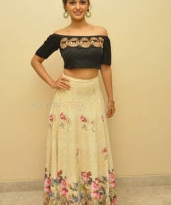 Actress Vaibhavi Shandilya At Next Nuvve Audio Launch Photos 03