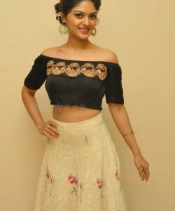 Actress Vaibhavi Shandilya At Next Nuvve Audio Launch Photos 28