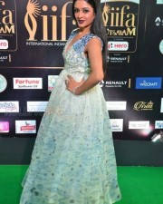 Actress Vimala Raman At Iifa Utsavam 2017 Pictures 13