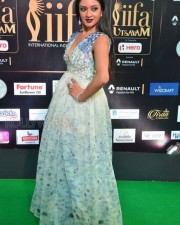 Actress Vimala Raman At Iifa Utsavam 2017 Pictures 14