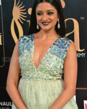 Actress Vimala Raman At Iifa Utsavam 2017 Pictures 23