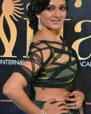 Actress Vimala Raman At Iifa Utsavam 2017 Pictures 44