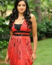 Actress Vimala Raman Beautiful Pictures 06