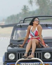 Actress Vimala Raman Hot New Pictures 01 Actress Vimala Raman Hot New Pictures 01