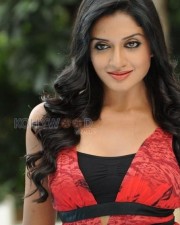 Actress Vimala Raman Photoshoot Pictures 04