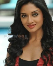 Actress Vimala Raman Photoshoot Pictures 11