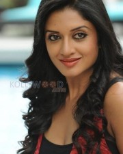Actress Vimala Raman Photoshoot Pictures 16