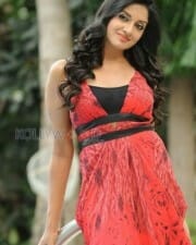 Actress Vimala Raman Photoshoot Pictures 25