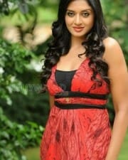 Actress Vimala Raman Photoshoot Pictures 26
