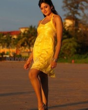Actress Vimala Raman Sexy Photos 09