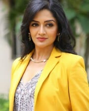 Actress Vimala Raman at Asvins Movie Press Meet Pictures 04
