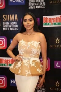 Akshaya at SIIMA Awards 2021 Day 2 Photos 07