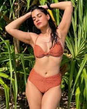 Alluring Actress Shreya Dhanwanthary in a grey ribbed knit sweater photos 07