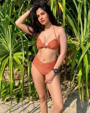 Alluring Actress Shreya Dhanwanthary in a grey ribbed knit sweater photos 08