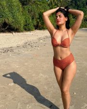 Alluring Actress Shreya Dhanwanthary in a grey ribbed knit sweater photos 09