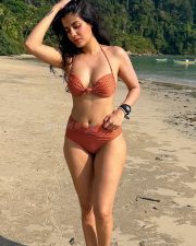 Alluring Actress Shreya Dhanwanthary in a grey ribbed knit sweater photos 10