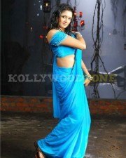 Beautiful Actress Vimala Raman Stills 17