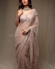 Beautiful Shreya Dhanwanthary in a Transparent Sequined Saree Photos 02 Beautiful Shreya Dhanwanthary in a Transparent Sequined Saree Photos 02