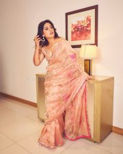 Elegant Actress Samyuktha Menon in a Peach Floral Embroidered Saree Photos 02 Elegant Actress Samyuktha Menon in a Peach Floral Embroidered Saree Photos 02